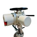 Single Phase 220V Intelligent Electric Actuator Explosion Proof