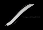 Customization Lips ABS Microblading Disposable Pen