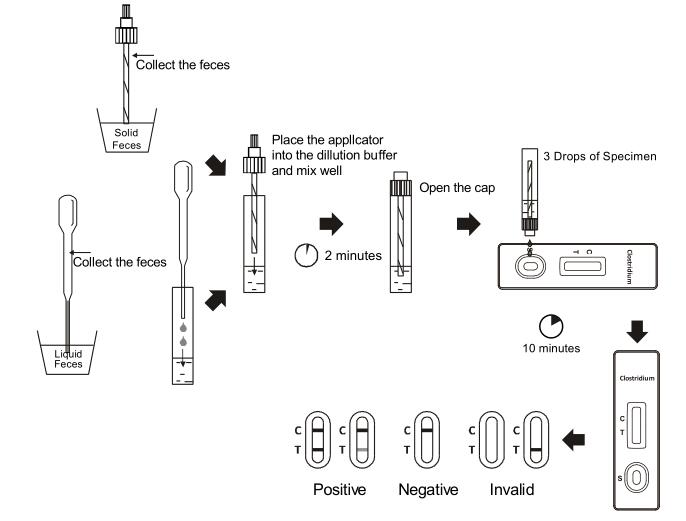 High Quality Campylobacter Rapid Test Cassette With CE