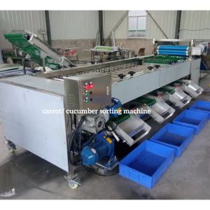 Cucumber Sorting Machine, Cucumber Grading Machine, Cucumber Grader sorter