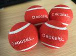 hign quality low cost pet tennis ball