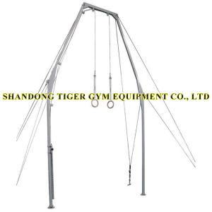 Wholesale Gymnastics Equipment Gymnastics Ring for Training from china suppliers