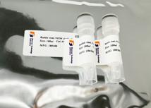 Wholesale Highly Sensitive Atriopeptidase Anti MME Mouse Monoclonal Antibody from china suppliers
