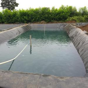 Wholesale GB/ASTM GRI-GM13 Standard HDPE Geomembrane Liner for Fish Farming Waterproofing Material from china suppliers