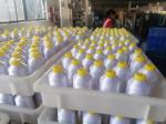 5000Y 120D/2 High Color Fastness Polyester Filament Embroidery Thread