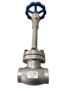 Wholesale SS304 SS316 Socket Weld Cryogenic Service Valves DN10 To DN100 For Cryogenic Tank from china suppliers