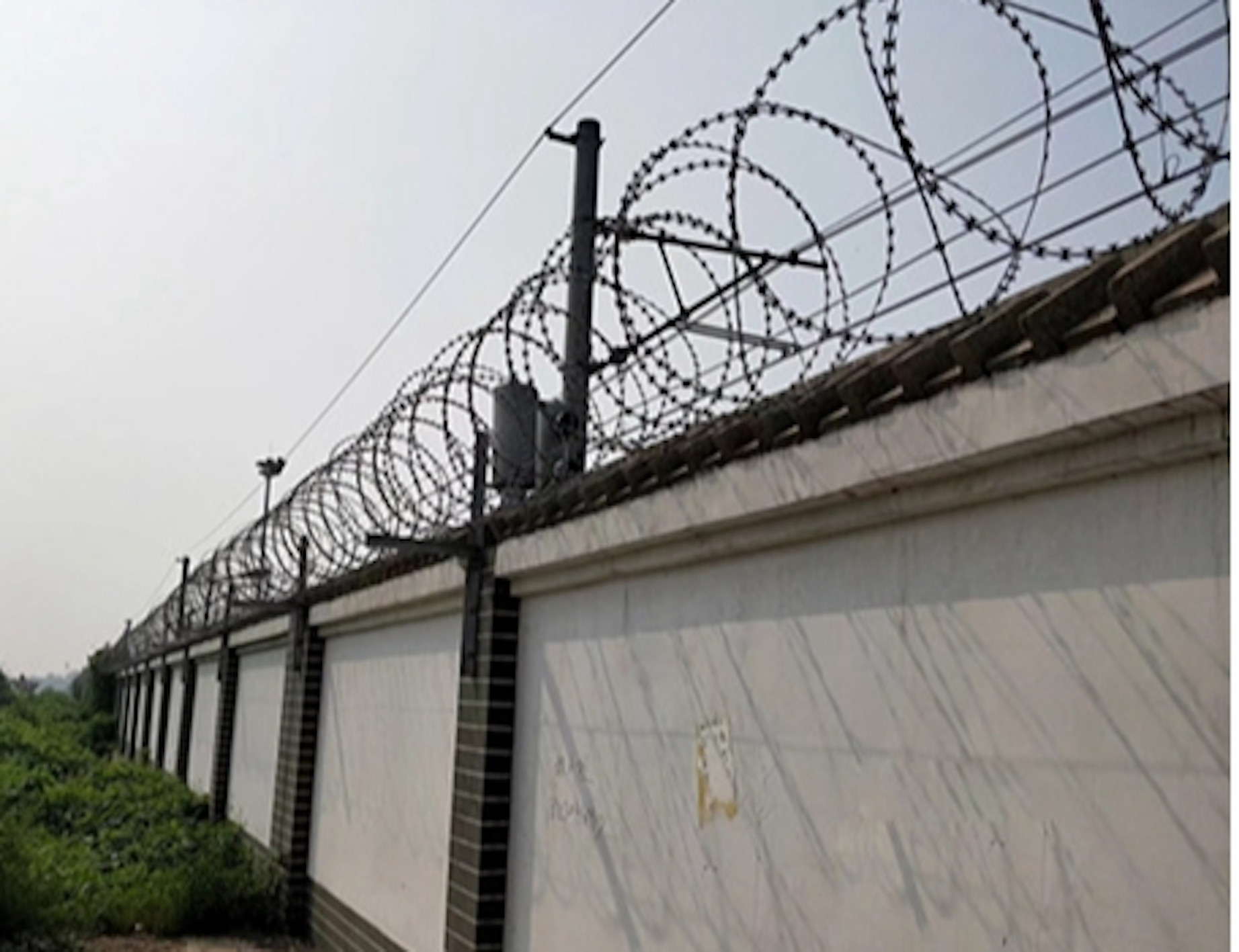Blue Prison Razor Wire Razor Wire Flat Wrap Good Resistance Effect