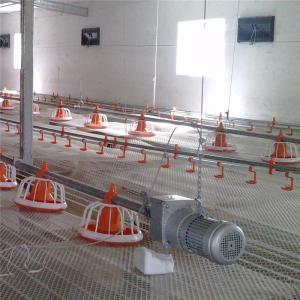 Wholesale AC110V 220V Automatic Poultry Feeder System Auto Chicken Feeder from china suppliers