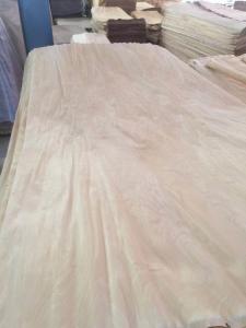 Wholesale birch veneer from china suppliers