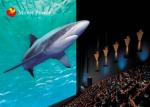 Large Screen Fog Smell Fire 4-D Movie Theater Simulation For Theme Park