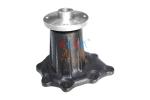 21010-19D10 Water Pump Assy NISSAN For Engine FD46T