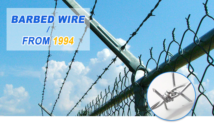 Double Twisted Hot Dipped Galvanized Steel Barbed Iron Wire Fence For Farm