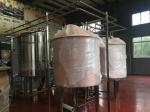 Small Capacity Beer Brewing System 10Hl Fermentation Tanks Stainless Steel