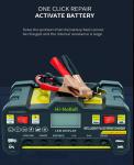 FCP Fast Charging Speed 12V 24V 20A Smart Car Battery Charger for AGM and Gel