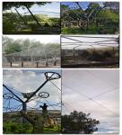 Stainless steel wire rope mesh net / slope protection network