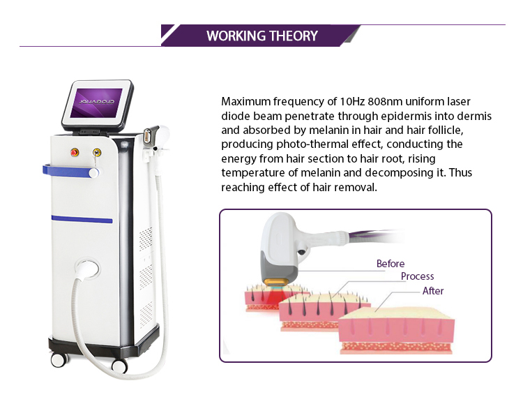 Beauty Salon Diode Hair Removal Laser Machine , IPL Hair Removal System AC 220V / 50Hz