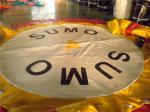 Inflatable Sumo Suit (CYSP-656)