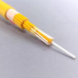 Wholesale Indoor LSZH Aramid Yarn Strength G652D Fiber Optic Cable GJPFJH 4 6 8 12 24 48 Core from china suppliers