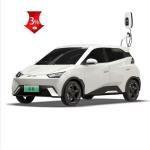 Byd Seagull 2024 The Perfect Combination of Performance and Style for Chinese