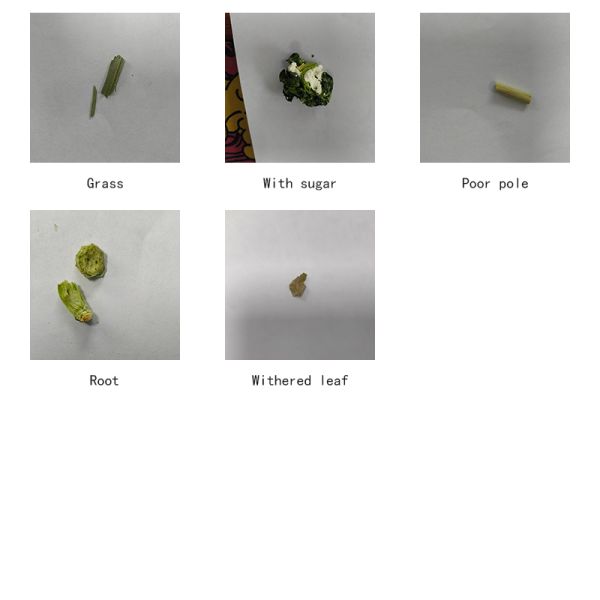 KM-1250 Coriander Sorting Machine, High Precision Equipped With 3 Ultra High Definition Resolution Cameras