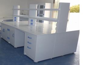 Wholesale Professional Chemistry Lab Bench High Temperature Resistant Pp Structure from china suppliers