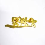 Polished Gold Color Metal Die Cast Letter Lapel Pin Badges With Butterfly