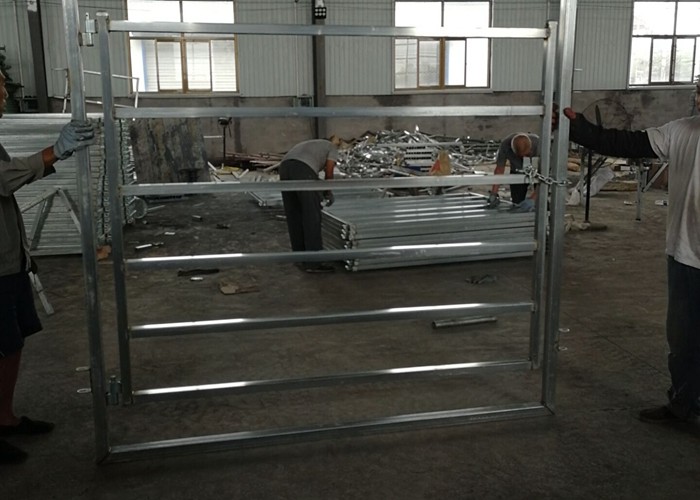 Heavy Duty Galvanized Corral Fence Metal Cattle Panels 40X40 Or 50X50mm
