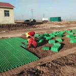 Black Green HDPE Plastic Planting for Parking Lot Grass Reinforcing in HDPE