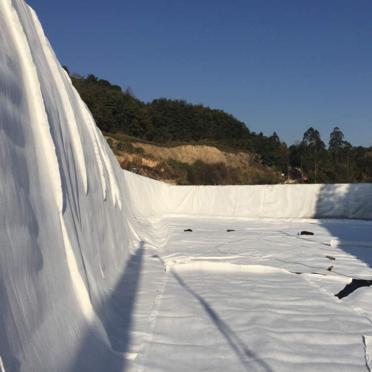 Revolutionize Landfill Railway Tunnel System Drainage with 3D Composite Drainage Net