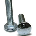 Stainless Steel SS304 316 Carriage Metal Bolts Grade 4.8 8.8 10.9 12.9 Din603