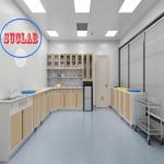 Adjustable Shelves Treatment Room Cabinets for Customer Requirements