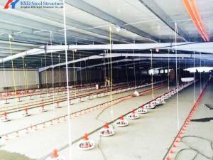 Wholesale Automatic Broiler Poultry Equipment Plastic Poultry Farm Feeding System from china suppliers