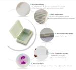 Boutique Meiosis Medical Research 12PCS Pre Prepared Microscope Slides