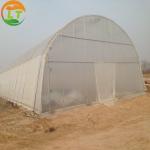 Insulation Agricultural Plastic Film Greenhouse for Single-Span at in 6m 8m 10m