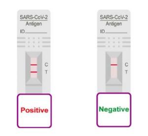 Wholesale Ag Rapid Saliva Tes Device COVID 19 Antigen Test LgG Home Use Easy Operating from china suppliers