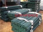 Studded Type T Post Fence , Metal Star Pickets Easy Installation Corrosion