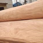 Natural Wood Rotary Cut PQ Veneer Sheet With 0.15-0.3mm For Plywood
