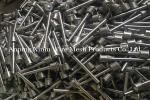 Standard Long Neck Stainless steel Wedge Wire Johnson Screen Nozzle for water