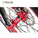20-Inch Folding Bike with 9-Speed and Disc Brake 's Top-Performing Lightweight