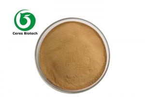 China 40% Bitter Melon Dried Vegetable Powder Charantin Extract Powder on sale