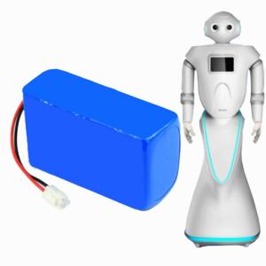 Wholesale 24V 5A 18650 Lithium Battery Pack for Smart Robot from china suppliers