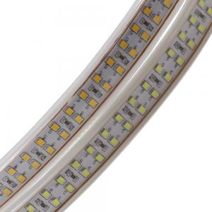 China CE RoHS Magnetic Rainproof two row chips 2835 outdoor led strip lights for decoration on sale