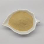 Forsythia Fructus Plant Extracted Powder NLT 100% Thru 80 Mesh