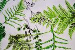 130x70 Fine Printed Cotton Canvas / Twill Cotton Fabric For Garment
