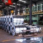 Cold Rolled 202 201 316 301 304 Stainless Steel Sheet /Coil/Strip or 430 Steel
