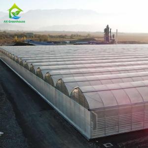 Wholesale Multispan 4 Season Plastic Film Insect Net Greenhouse For Cucumbers from china suppliers