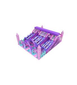Wholesale Purple Large Slide Children Fun Park Inflatable Playground from china suppliers