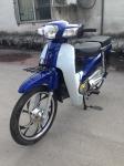 NEW C90 Morocco market