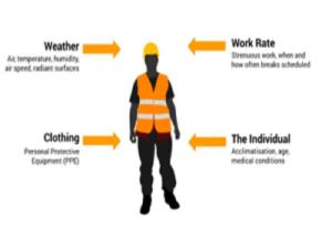 Wholesale Phase Change Pcm Cooling Vest For Sports from china suppliers