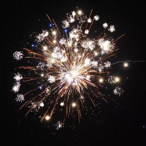 Wholesale Wholesale Outdoor Pyro 1000G Cake Fireworks 2 Inch 56 Shots Wedding Celebration 1.4 Pro Fireworks from china suppliers